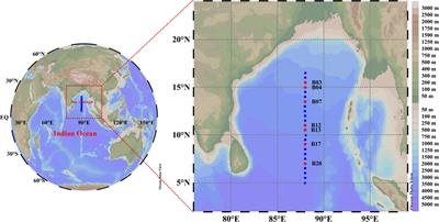 Diversity, structure, and distribution of bacterioplankton and diazotroph communities in the Bay of Bengal during the winter monsoon